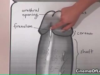 Szexi penny láng bemutató hogyan egy nagy fasz