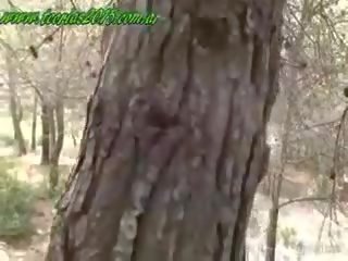Muriel erdő nimfa